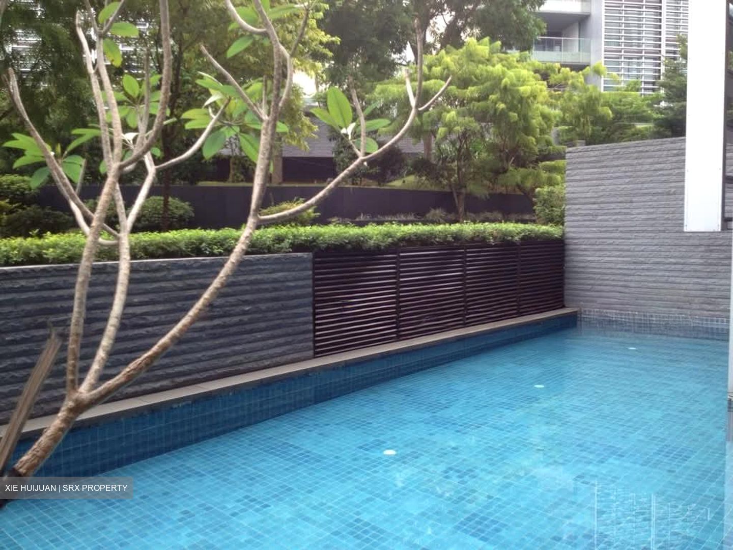 Nassim Park Residences (D10), Condominium #535594371
